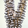 Brigitte Bouquet. Snowy Tree (detail), 2009. ceramic, copper, wood. dimensions variable.