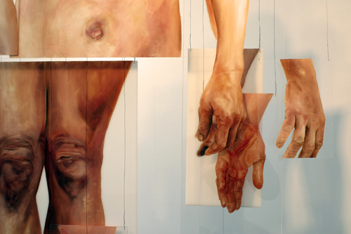 Meleko Mokgosi. The Ruse of Transparency II (detail), 2009. oil on PMMA. dimensions variable.